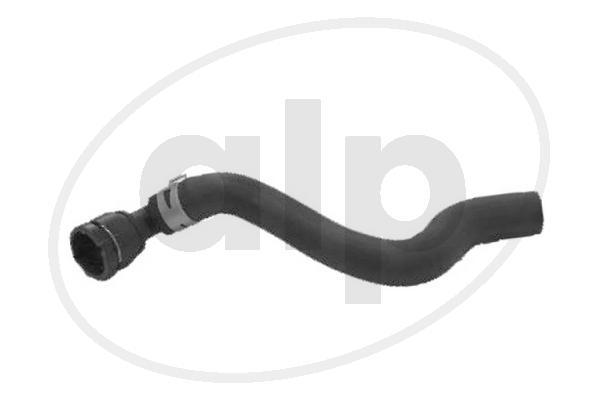 ALP-004079