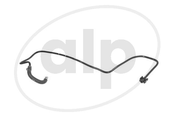 ALP-007569