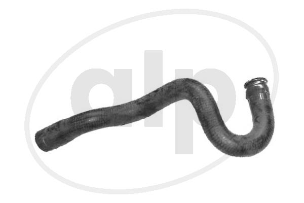 ALP-003894