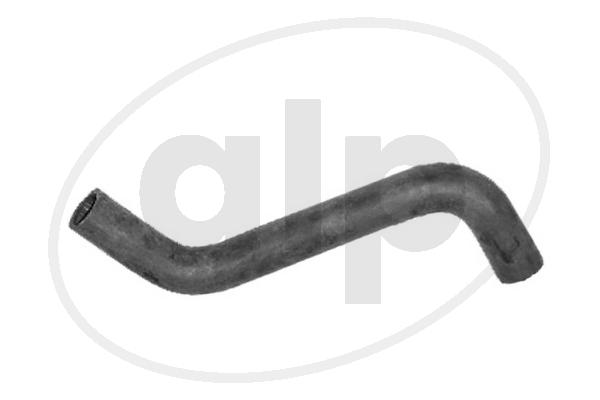 ALP-003869