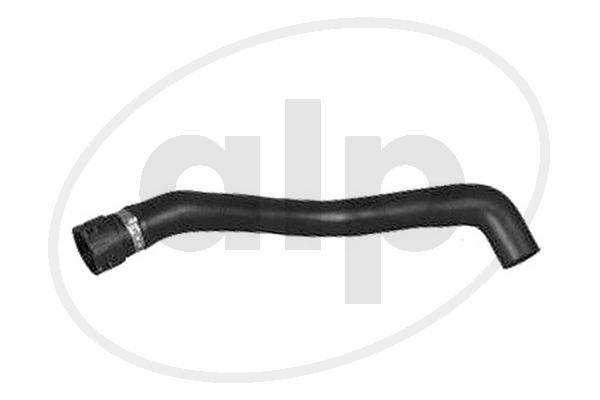 ALP-004253