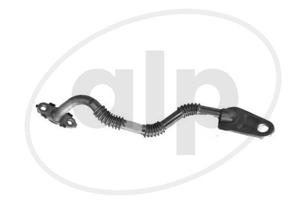 ALP-004893