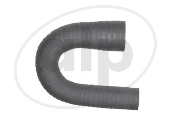 ALP-004513