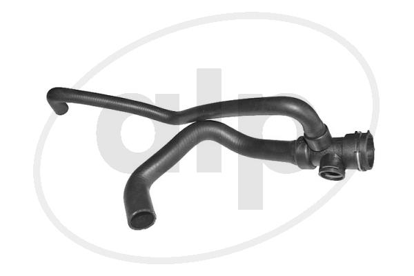 ALP-004309