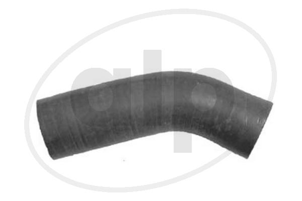 ALP-004339