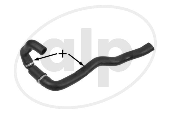ALP-007055