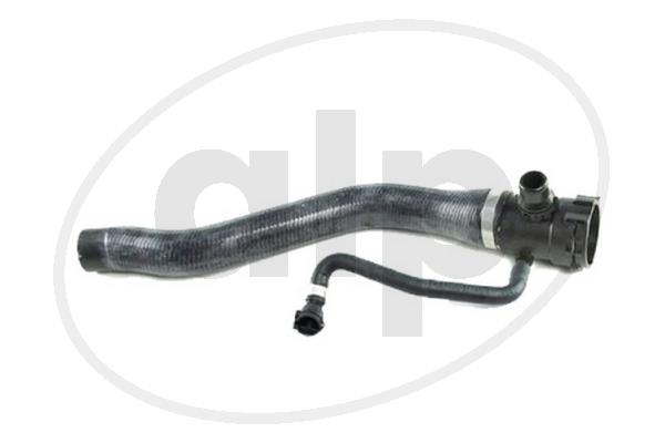 ALP-005681