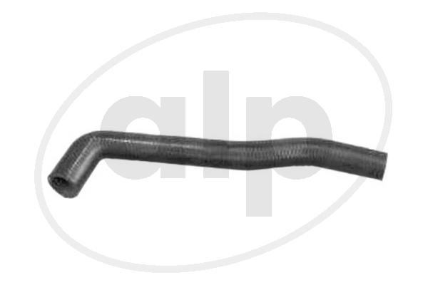 ALP-003595