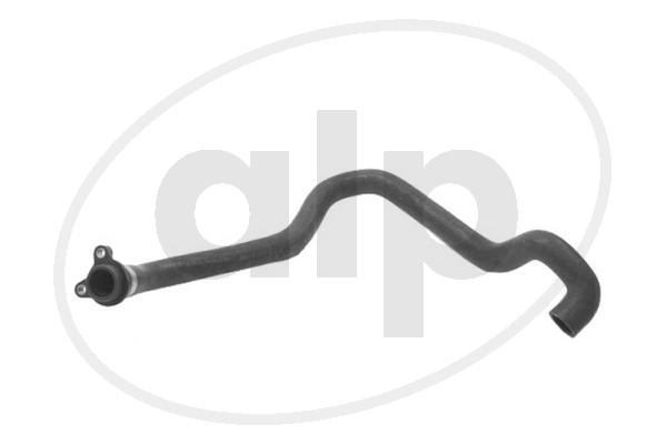 ALP-007246