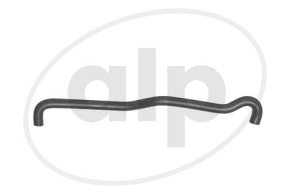 ALP-003556