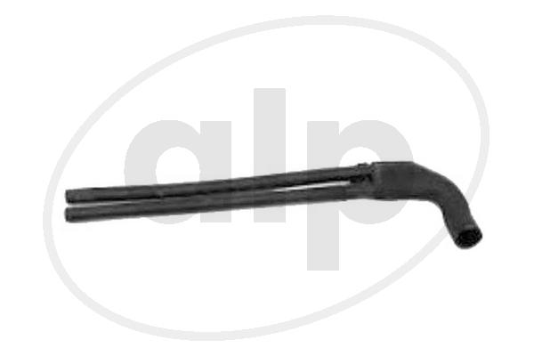 ALP-003604