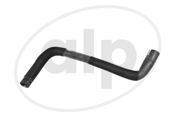 ALP-005613