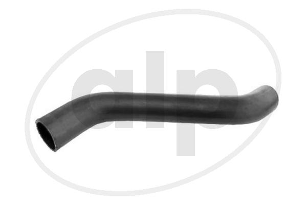 ALP-007858