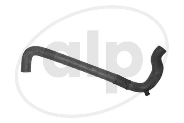 ALP-004438