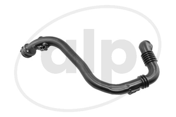 ALP-006122