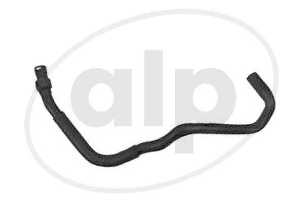 ALP-004218