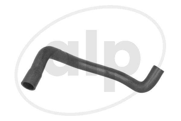 ALP-004145