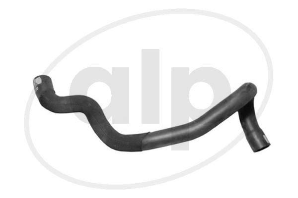 ALP-005610