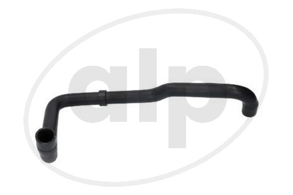 ALP-004111