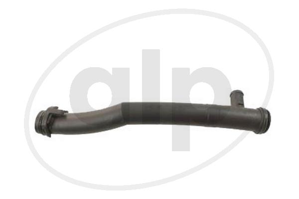 ALP-004924