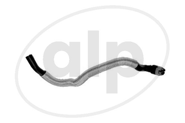 ALP-004045