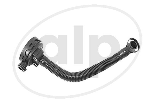 ALP-006319