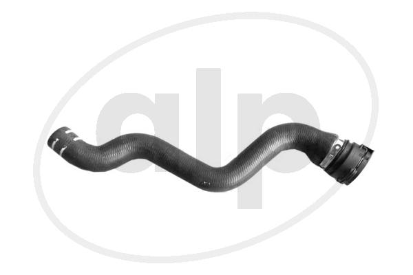 ALP-005614