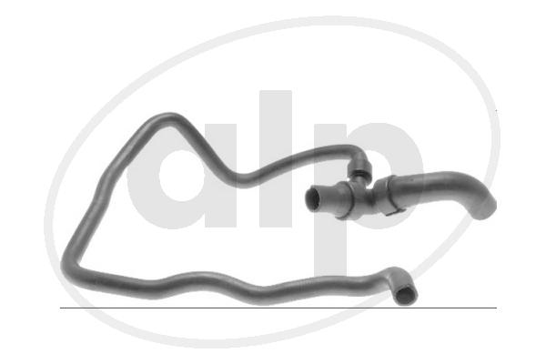 ALP-007813