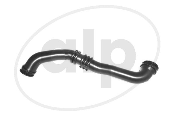 ALP-007607