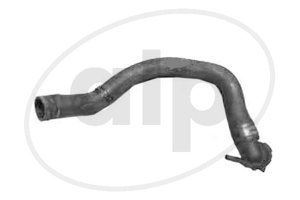 ALP-007295