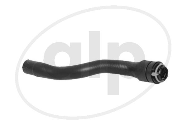 ALP-004126