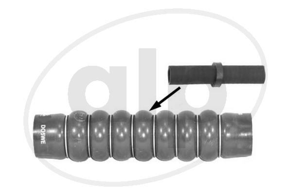 ALP-007785
