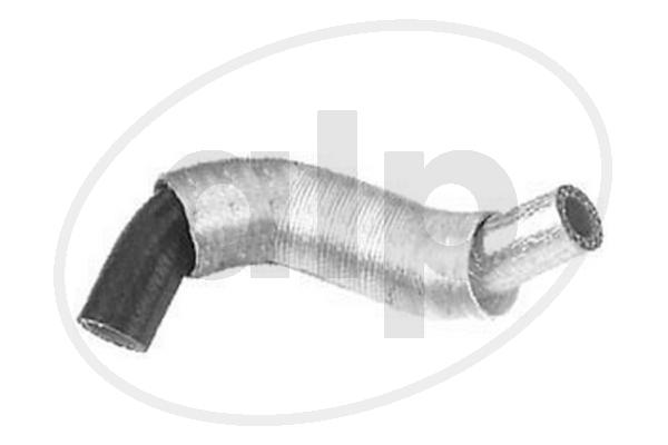 ALP-004491