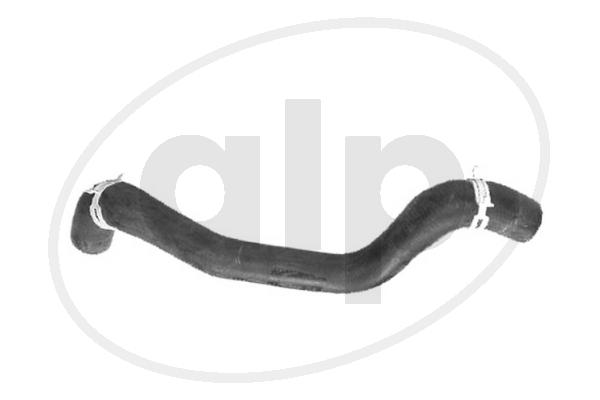 ALP-003937
