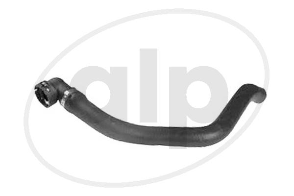 ALP-004391