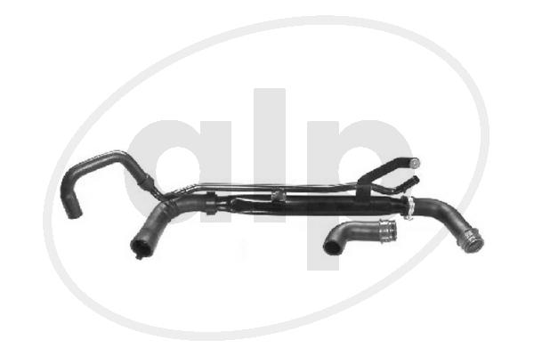 ALP-003843