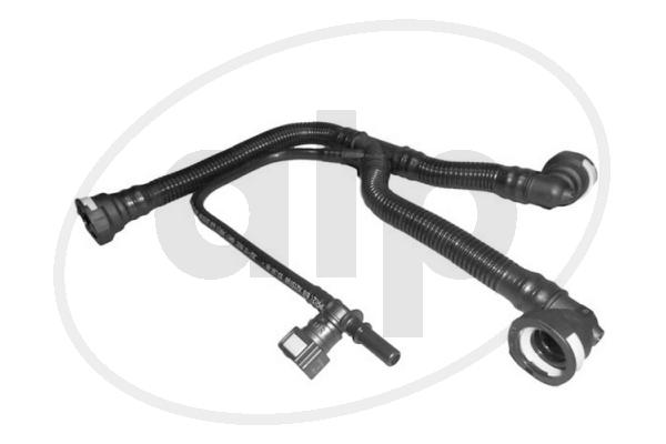 ALP-006070