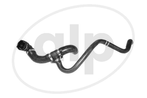 ALP-007598