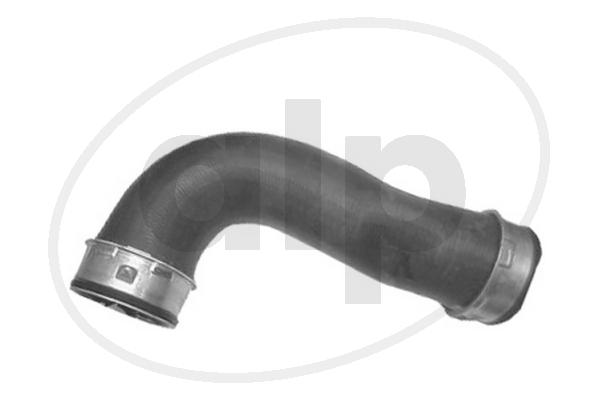 ALP-004384
