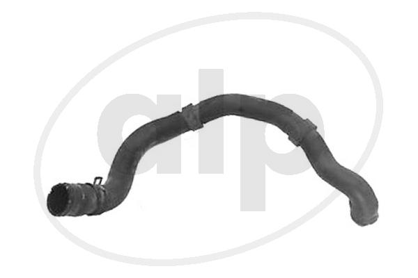 ALP-004311