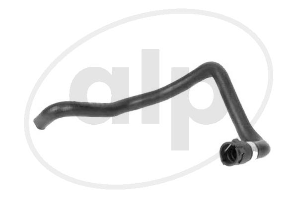 ALP-004308