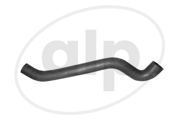 ALP-003626