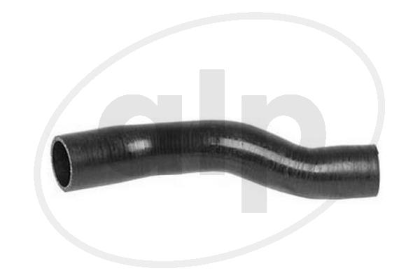 ALP-007096