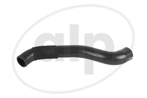 ALP-004501