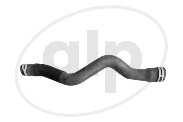 ALP-005615