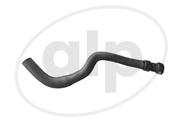 ALP-004261