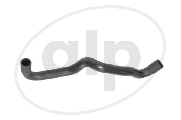 ALP-003838