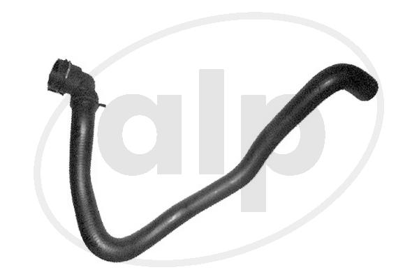 ALP-004299