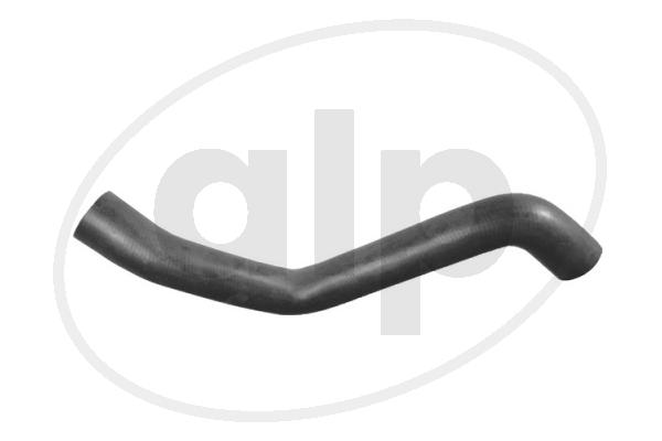 ALP-003702