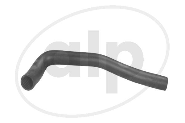 ALP-003524